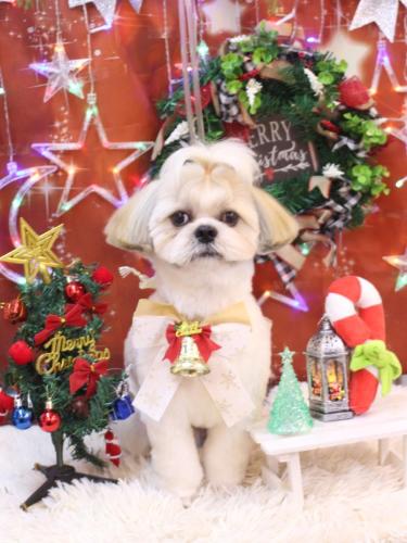 20231209ララくん